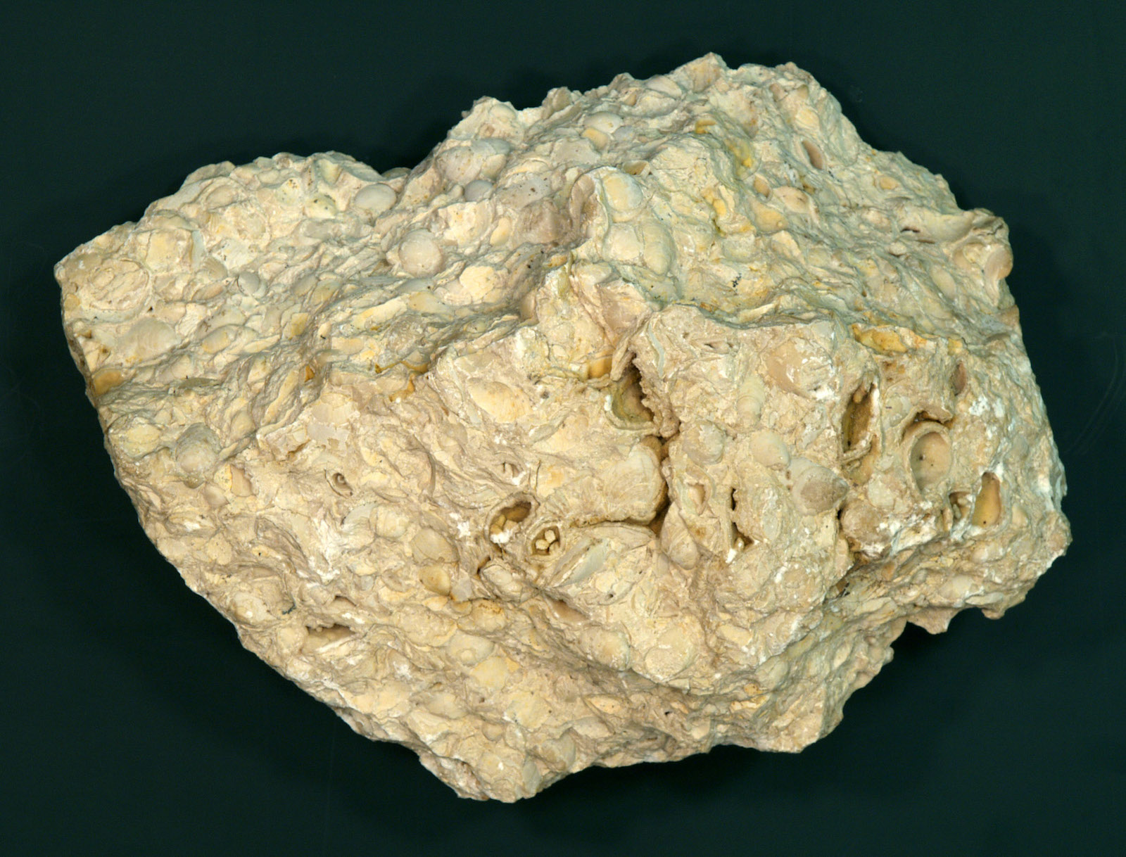 Limestone from a quarry in southern Germany