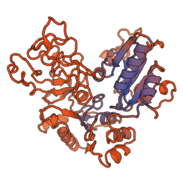 The protein RRM3