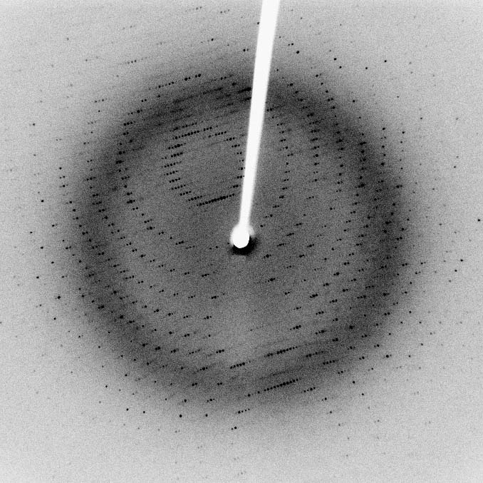 X-ray diffraction pattern of a SARS protease